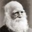 William Cullen Bryant William Cullen Bryant