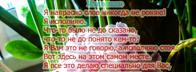Не исполняет или не полностью исполняет. Не исполняет или не полностью исполняет