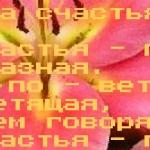 Птица счастья