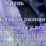 Жизнь