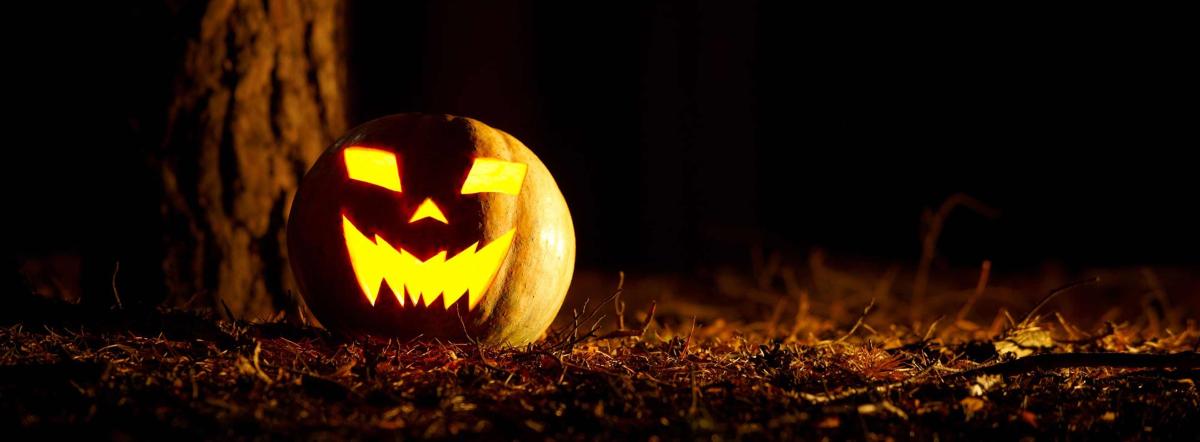 Halloween 2025 Halloween 2025 | Ryfma