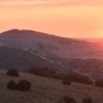 Виктория Фадеева - Загнула... Загнула...