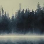 Аделина Воробьева - Охота Охота