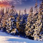 Robert Hayden - Those Winter Sundays Those Winter Sundays