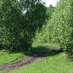 Стефания Владимирова - к 95 - ти летию Бейского района Хакасии к 95 - ти летию Бейского района Хакасии