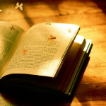 Словно закрытая книга